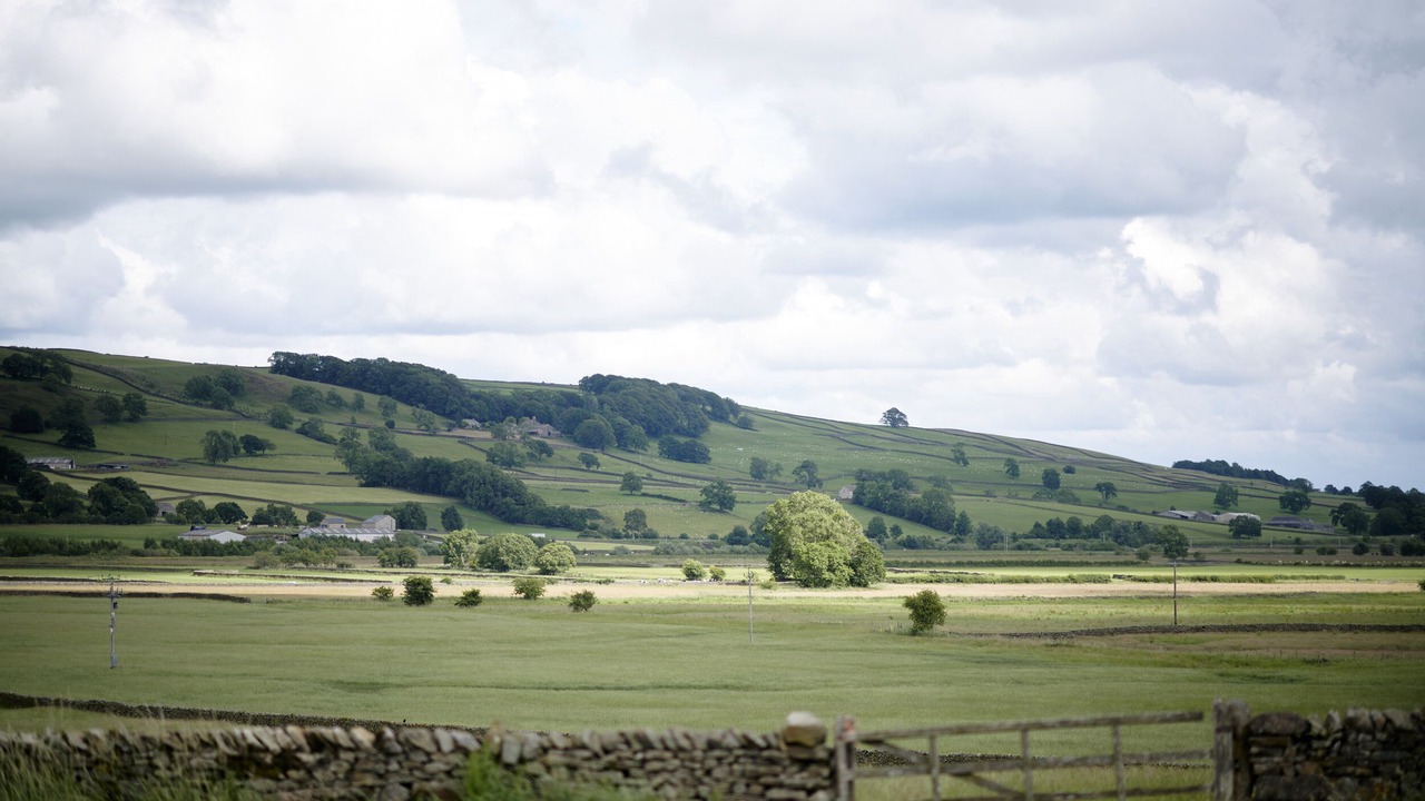 Photo of Others in Settle