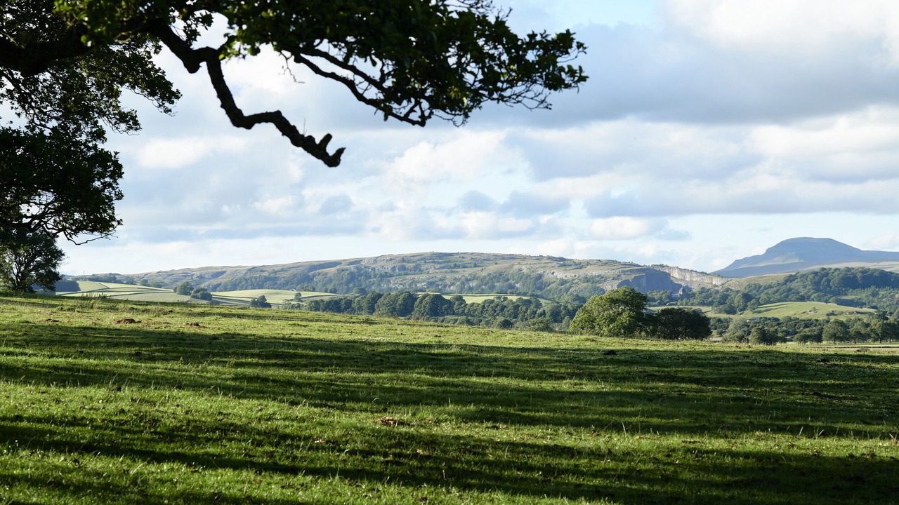 Photo of Others in Settle