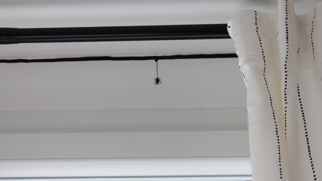 Photo of Others in Chatel-Guyon