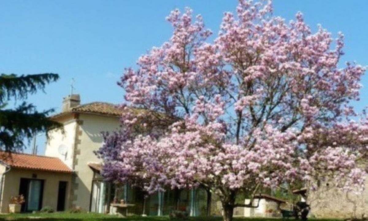 Photo of Outdoor in Sonnac
