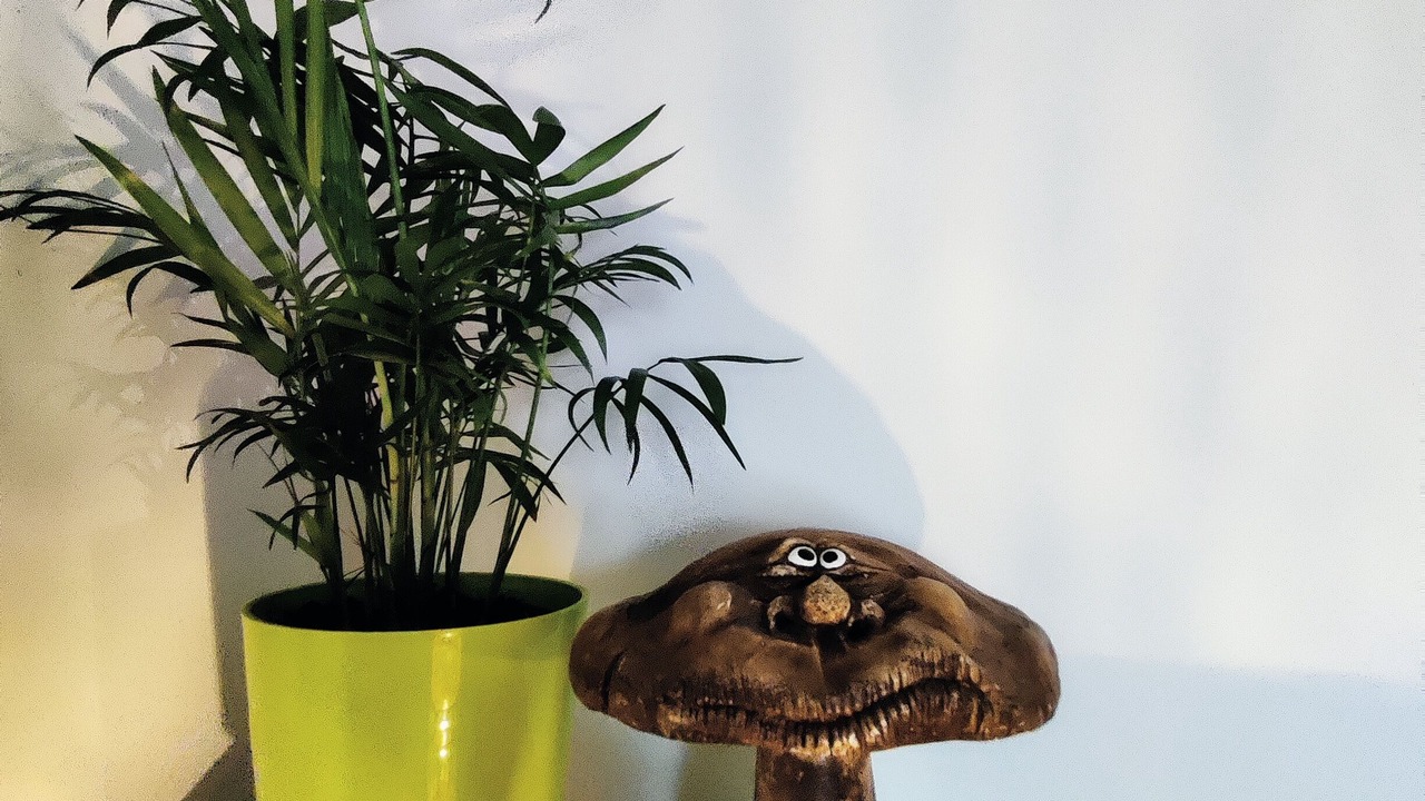 Photo of Others in Vitre