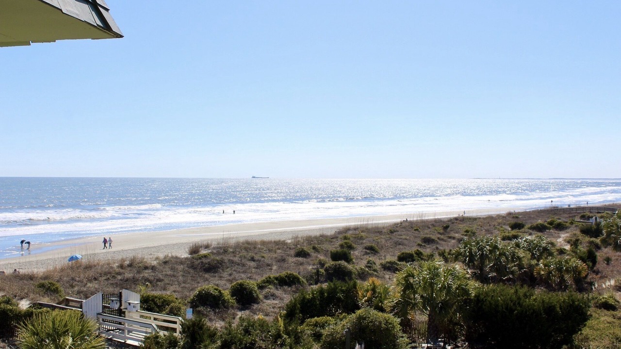 Photo of Others in Isle of Palms