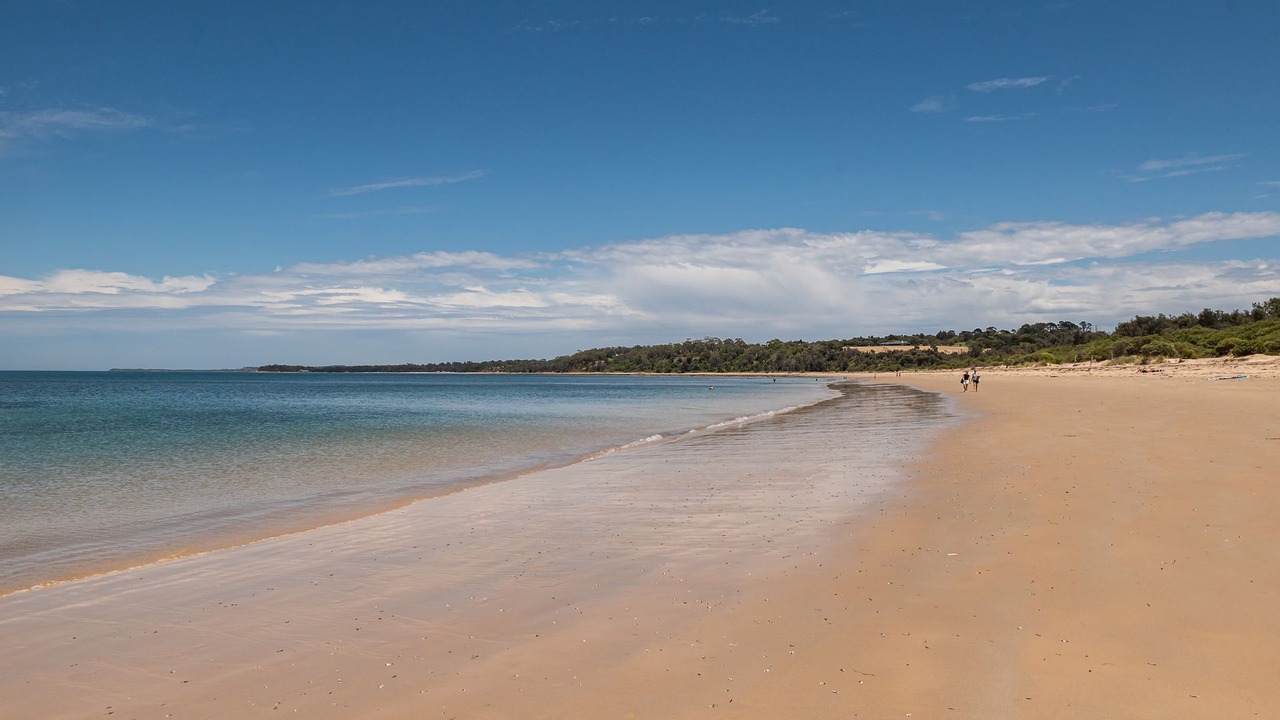 Photo of Others in Merricks Beach