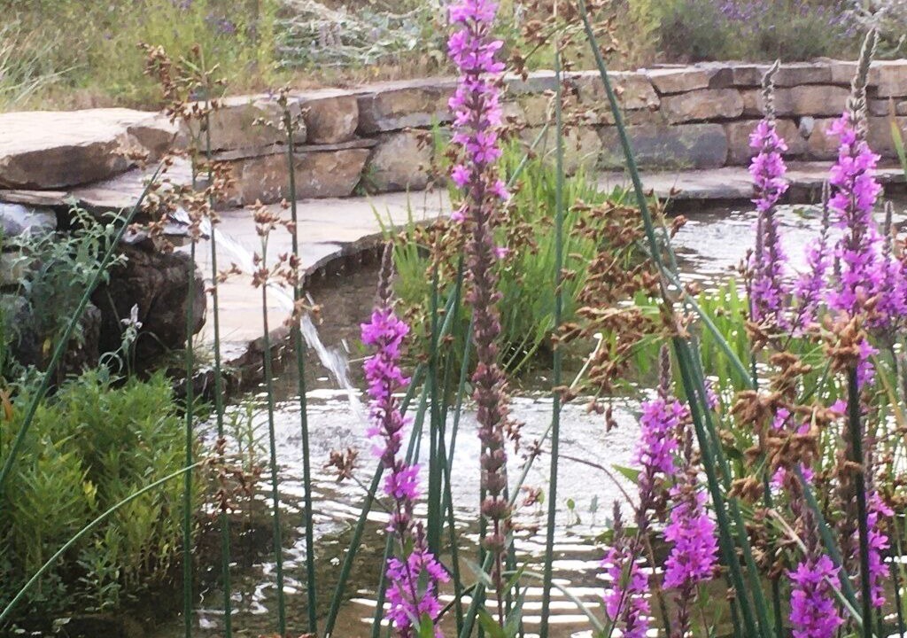 Photo of Outdoor in Barreme