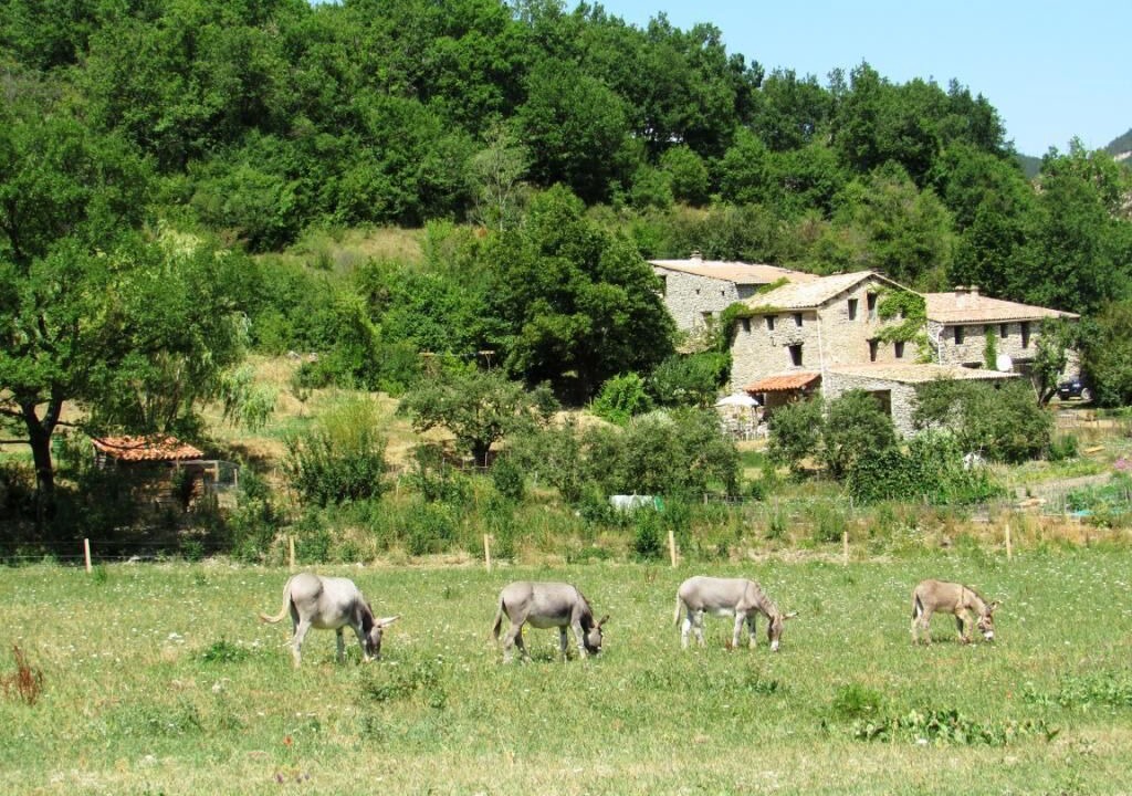 Photo of Outdoor in Barreme