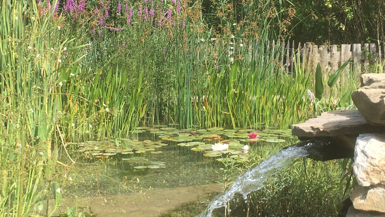 Photo of Outdoor in Barreme