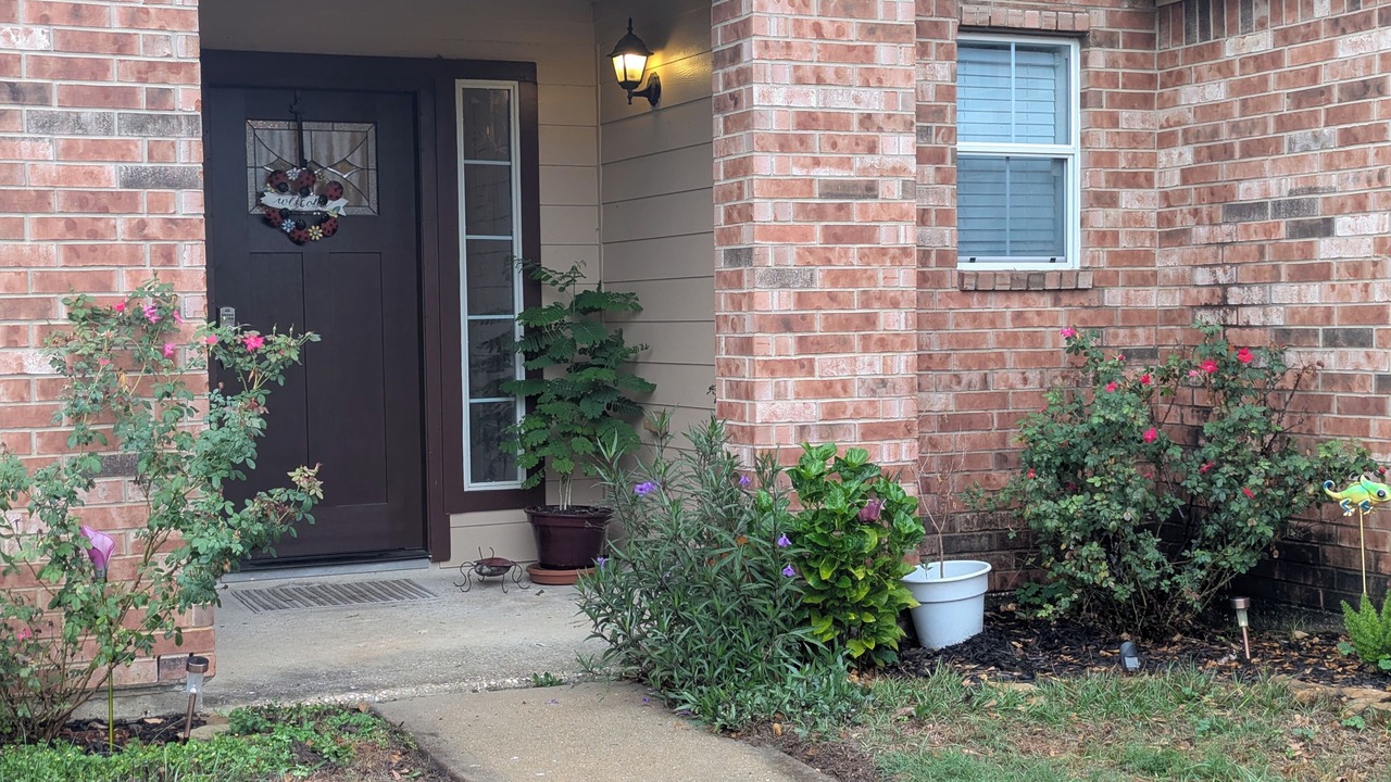 Photo of Outdoor in Willis