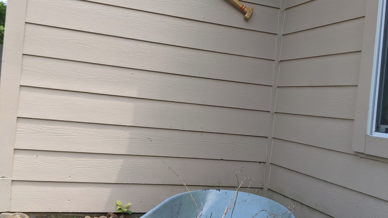 Photo of Outdoor in Willis
