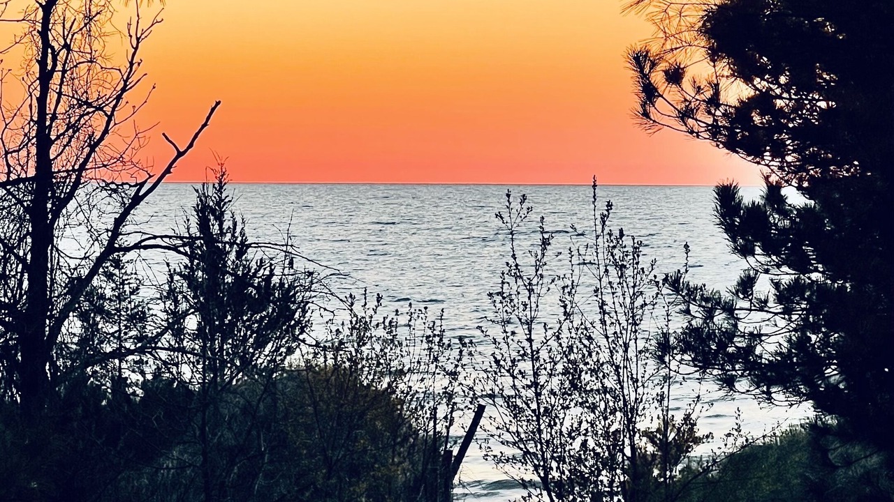 Photo of Others in Grand Bend