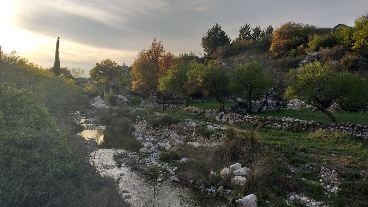 Photo of Outdoor in Gras