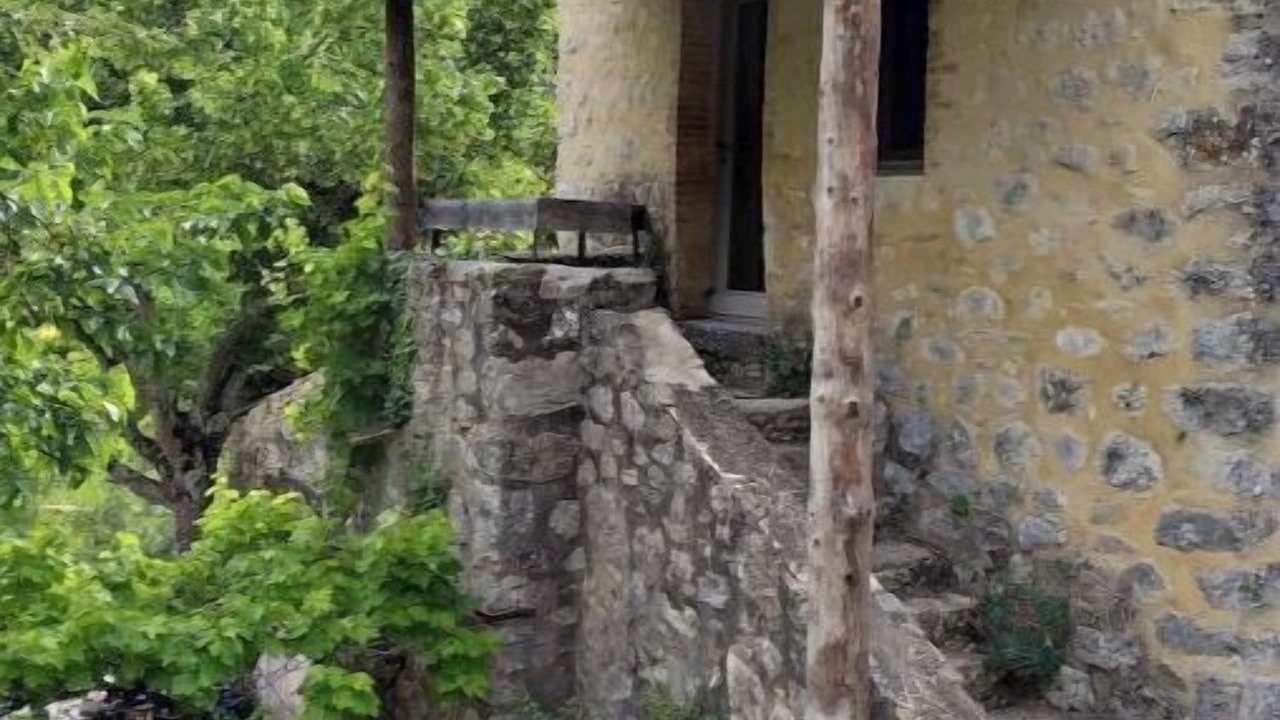 Photo of Outdoor in Gras