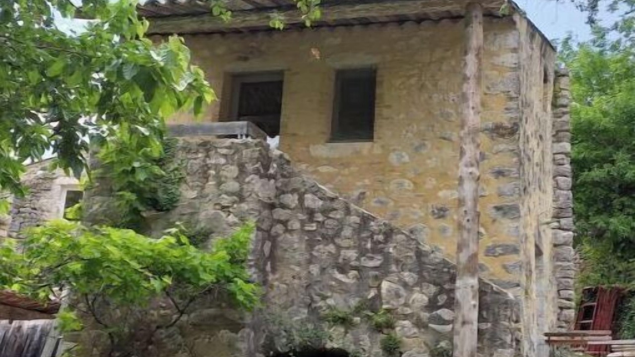 Photo of Outdoor in Gras