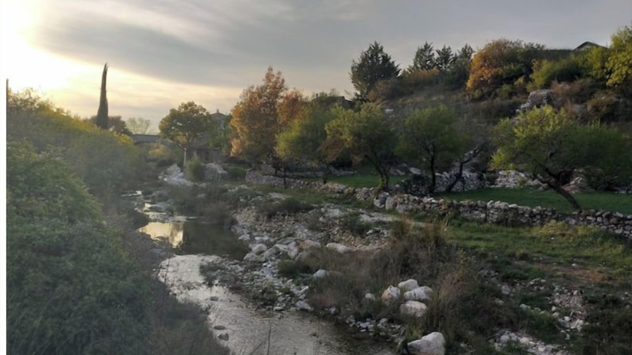Photo of Outdoor in Gras