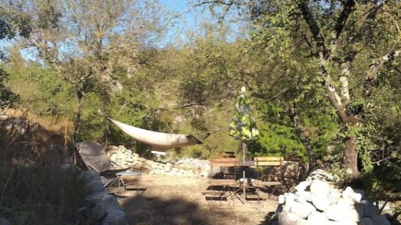 Photo of Outdoor in Gras