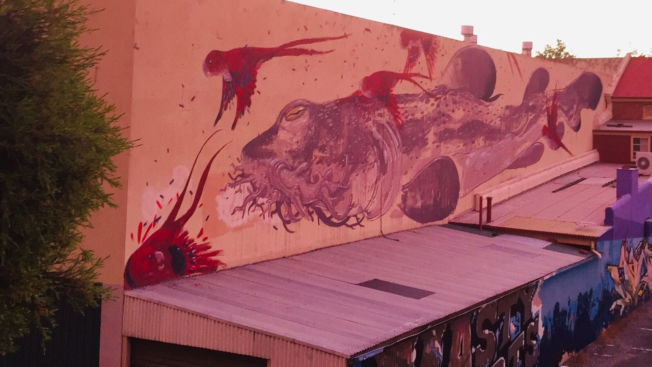 Photo of Outdoor in Adelaide Central Business District