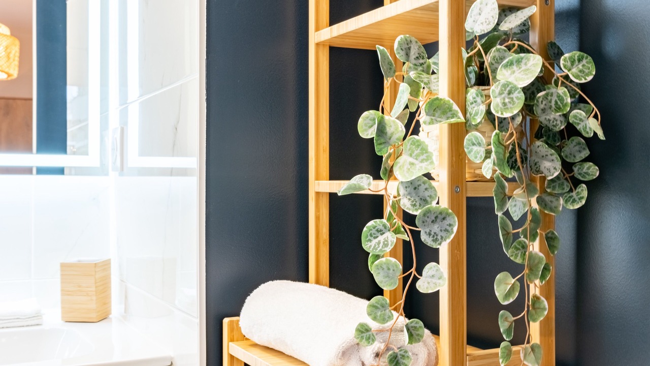 Photo of Others in Monselet