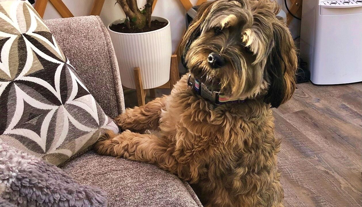 Photo of Others in Bellingham