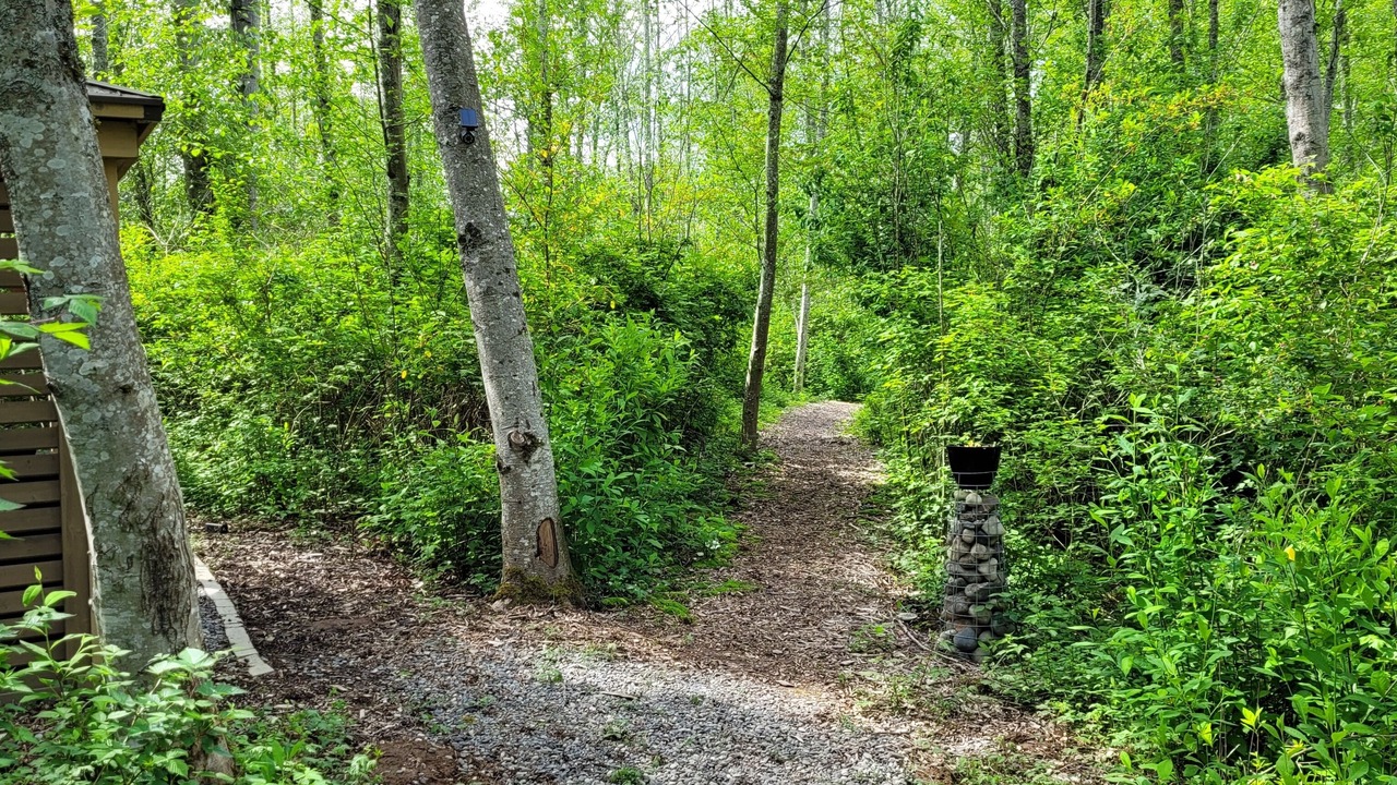 Photo of Outdoor in Bellingham