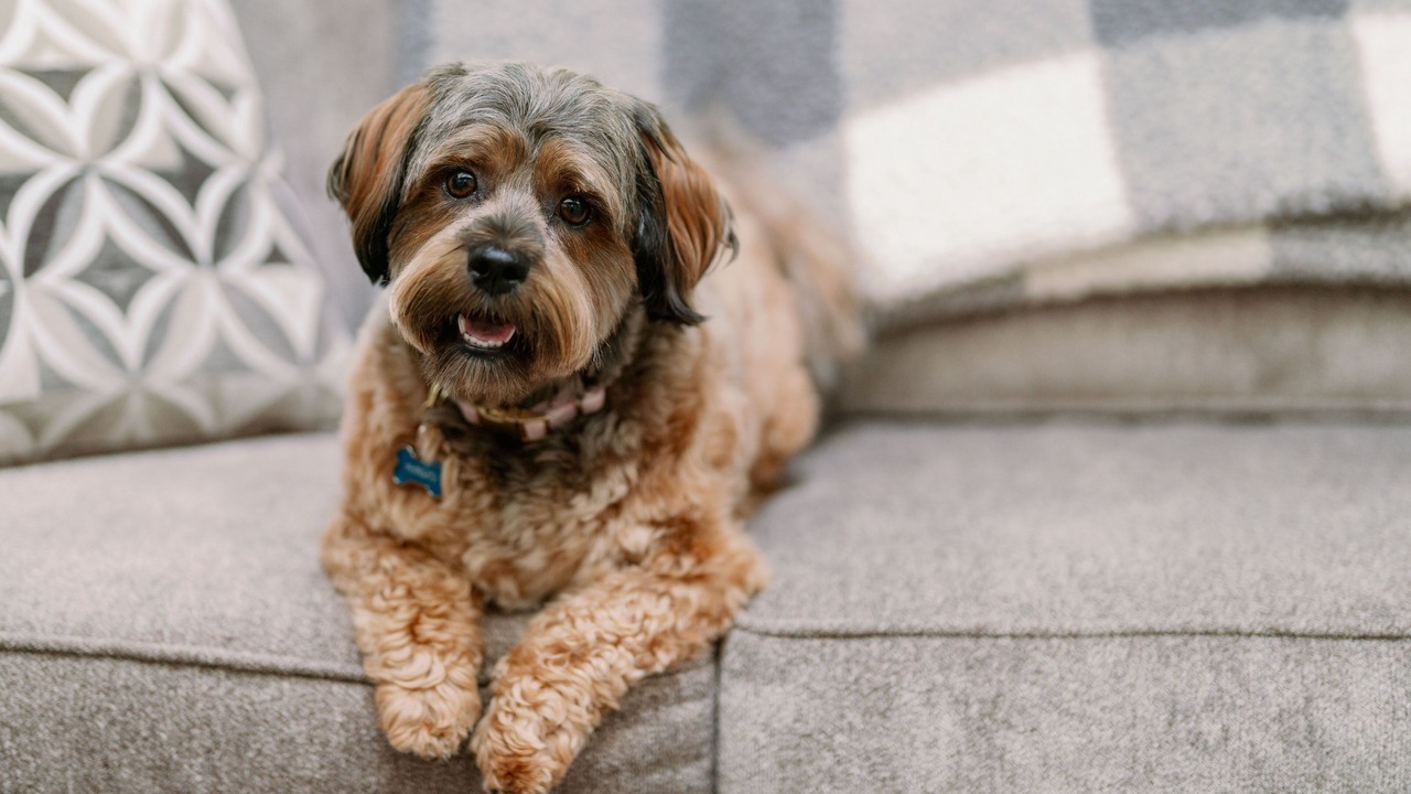 Photo of Others in Bellingham