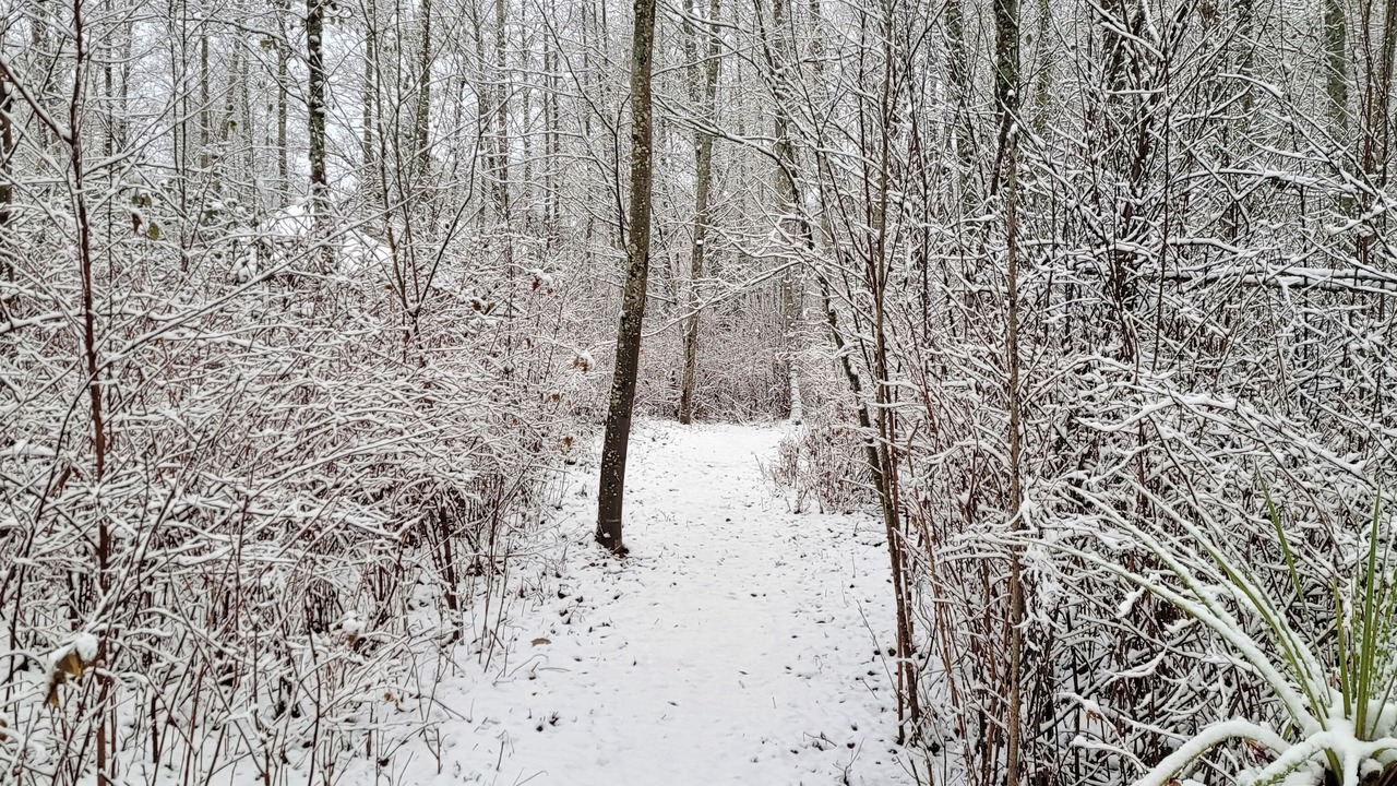 Photo of Others in Bellingham