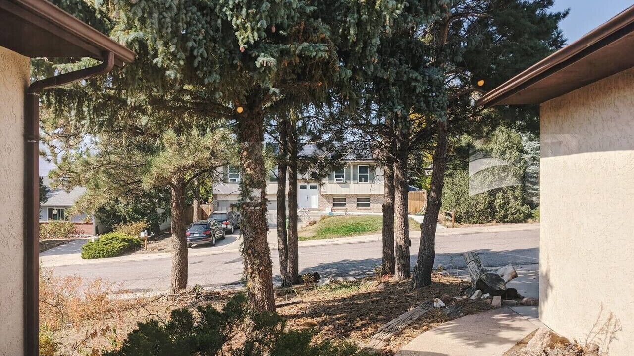 Photo of Outdoor in Northeast Colorado Springs
