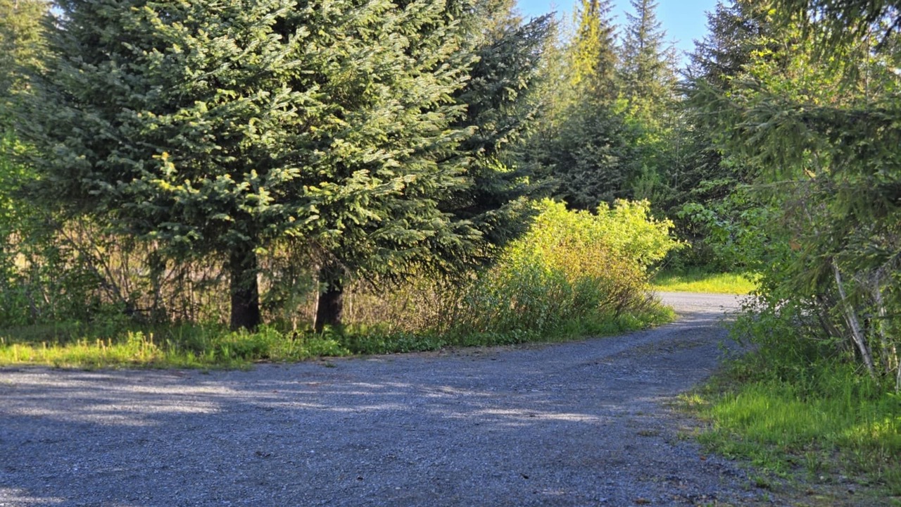 Photo of Others in Bear Creek