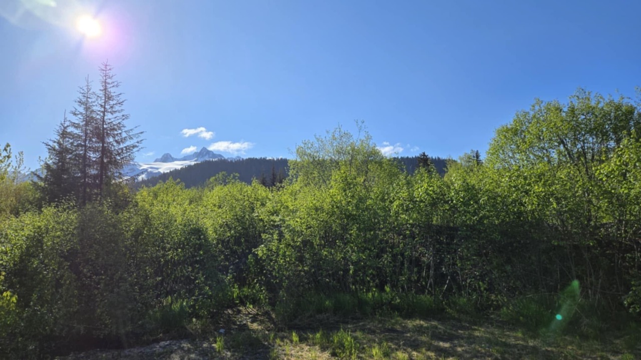 Photo of Outdoor in Bear Creek