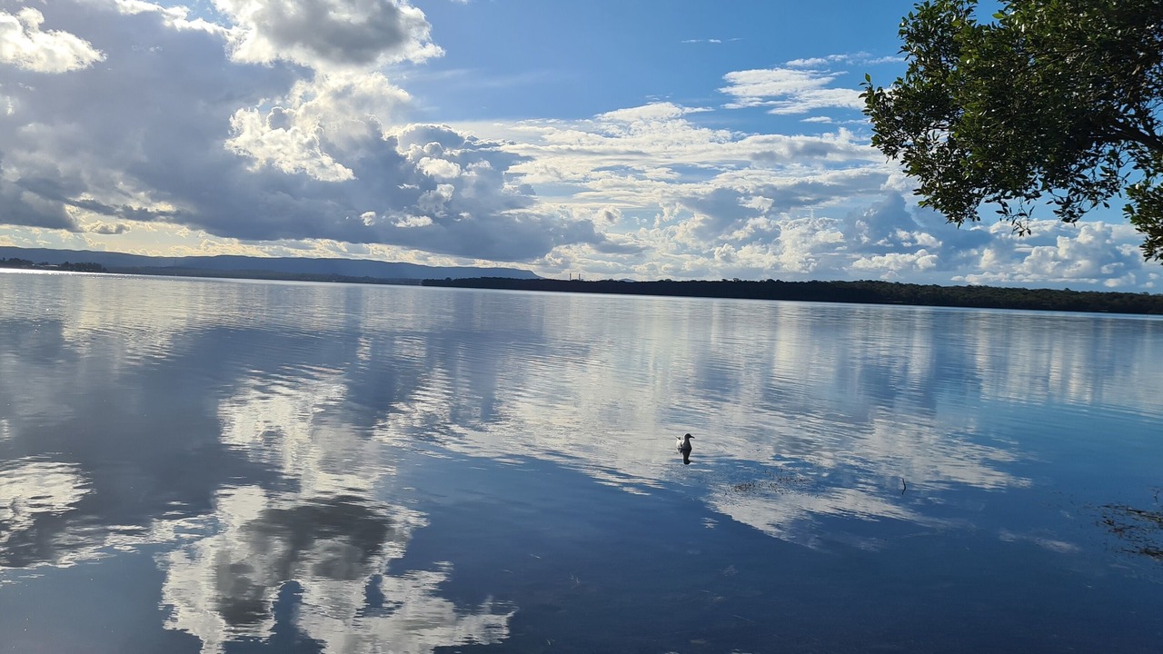 Photo of Others in Chain Valley Bay