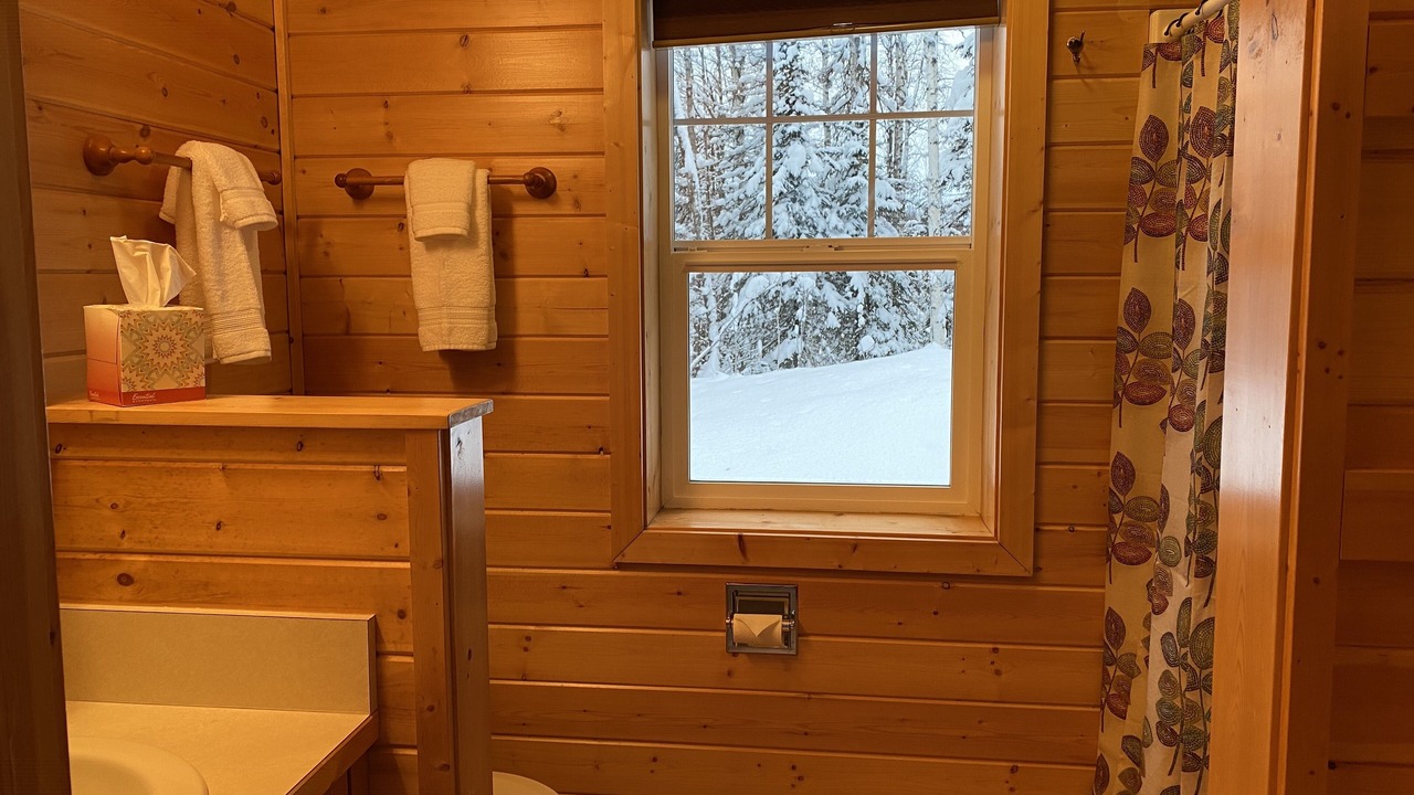 Photo of Bathroom in Susitna North