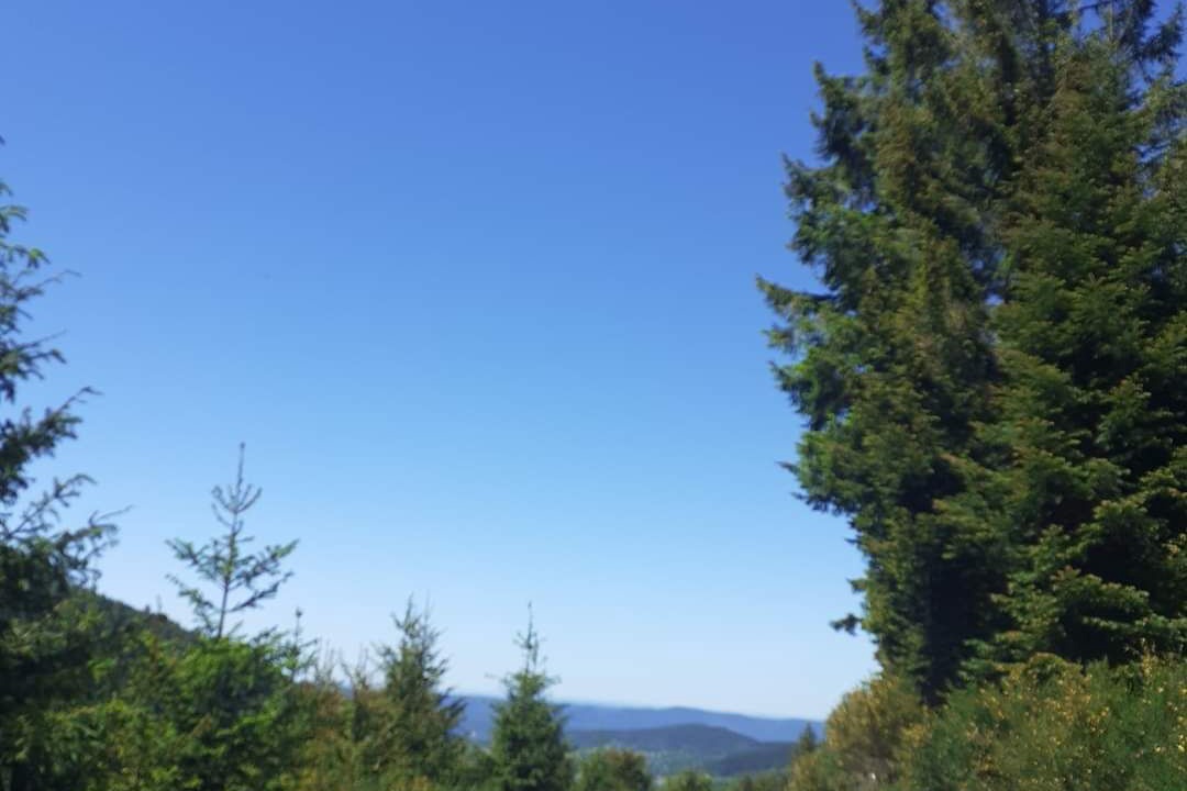 Photo of Outdoor in Fraize