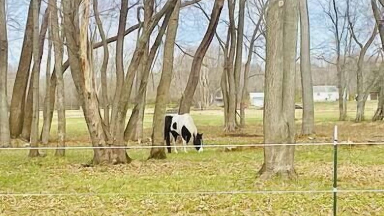 Photo of Others in Moline