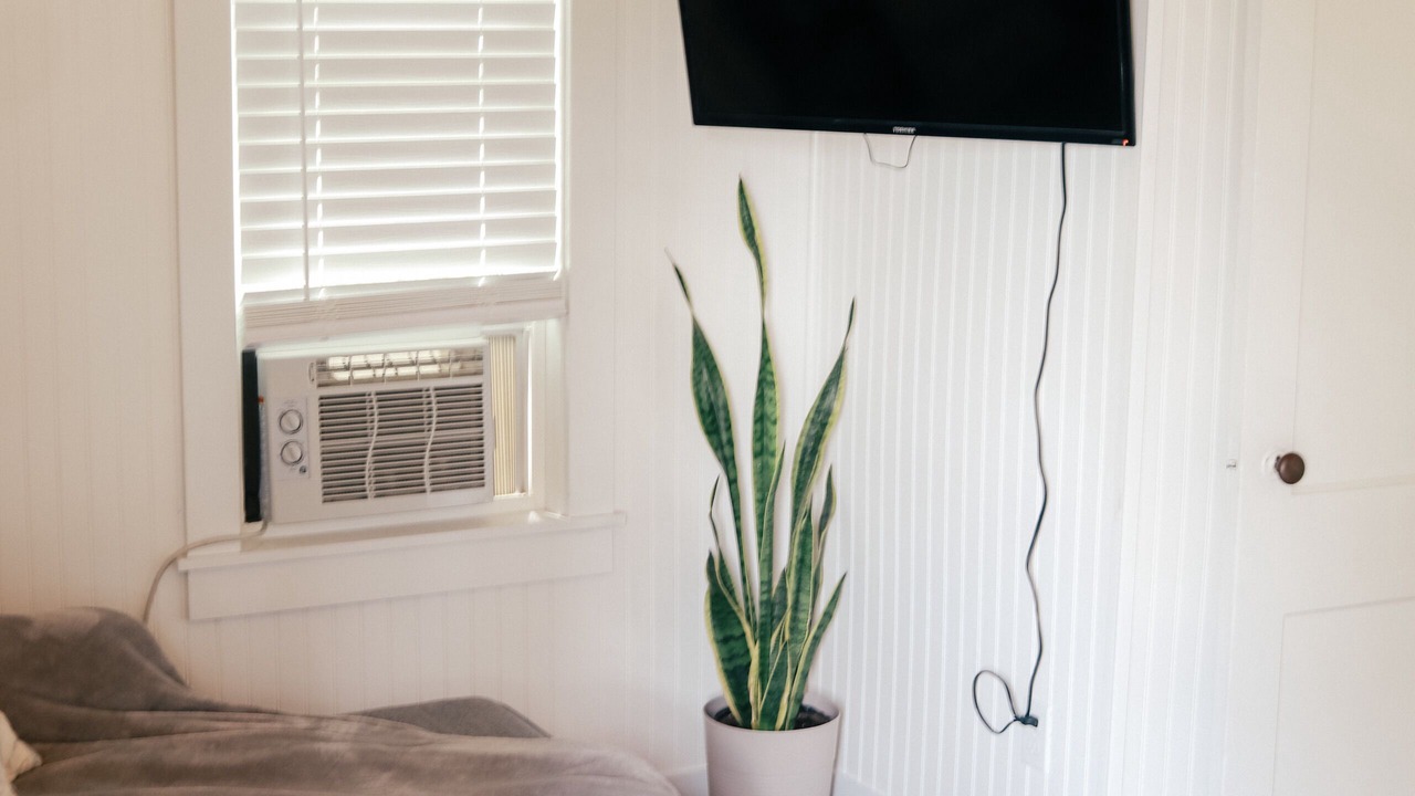 Photo of Livingroom in Hampden
