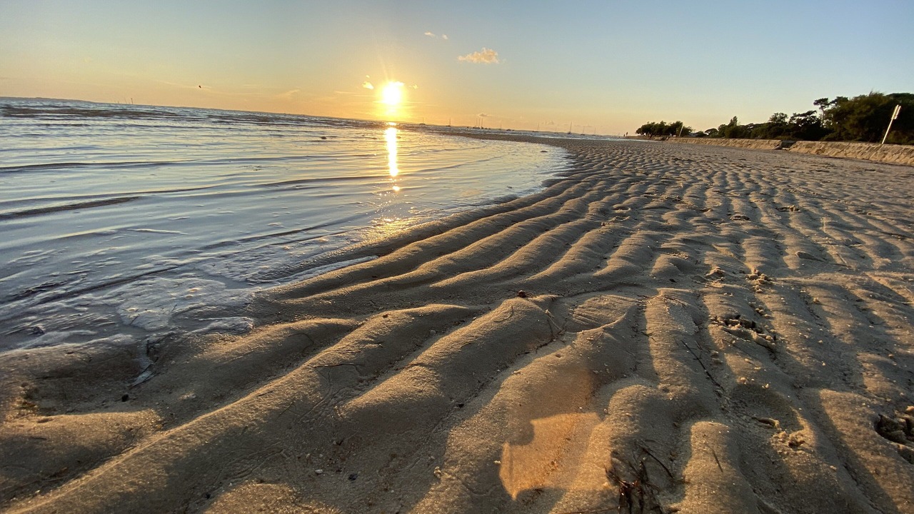 Photo of Others in Taussat