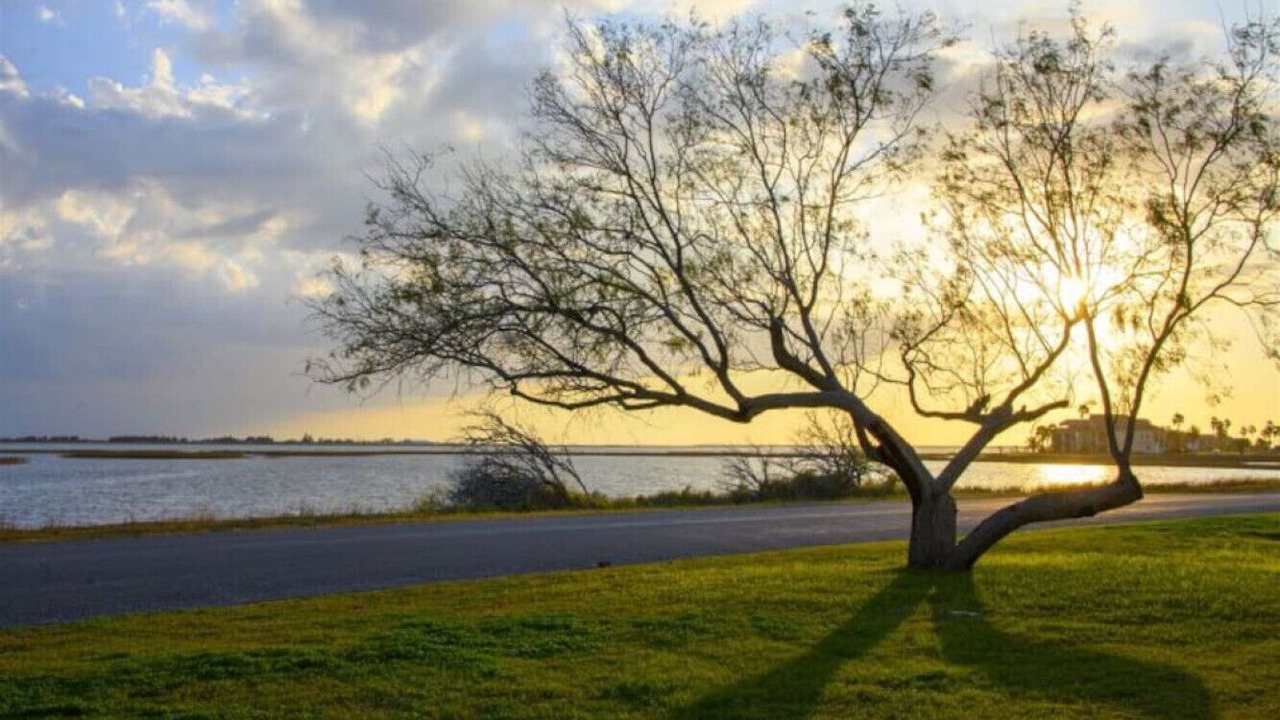 Photo of Others in Rockport