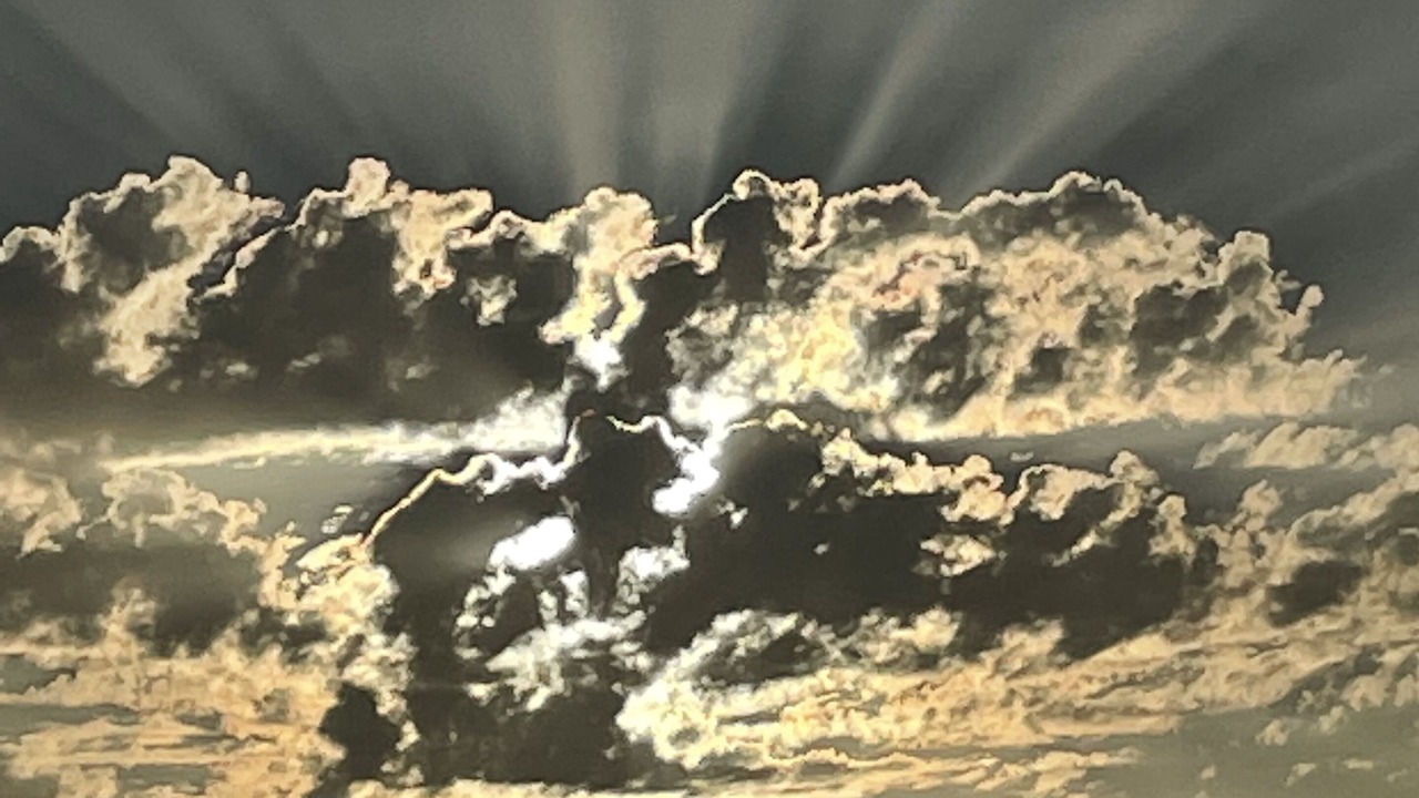 Photo of Others in Reforma