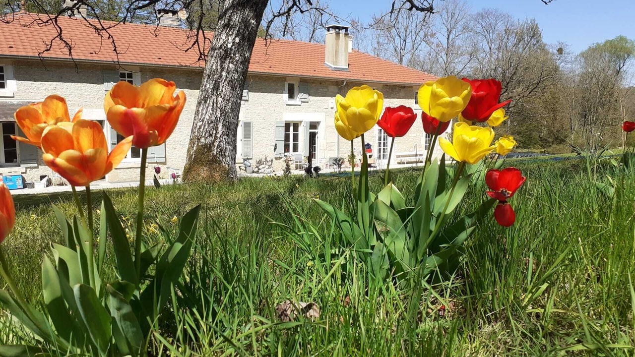 Photo of Outdoor in Chancenay