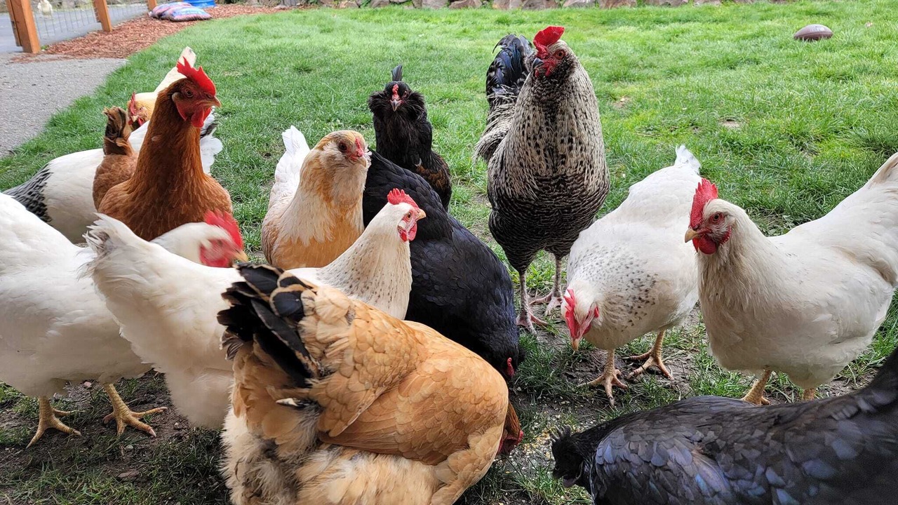 Photo of Outdoor in Monroe