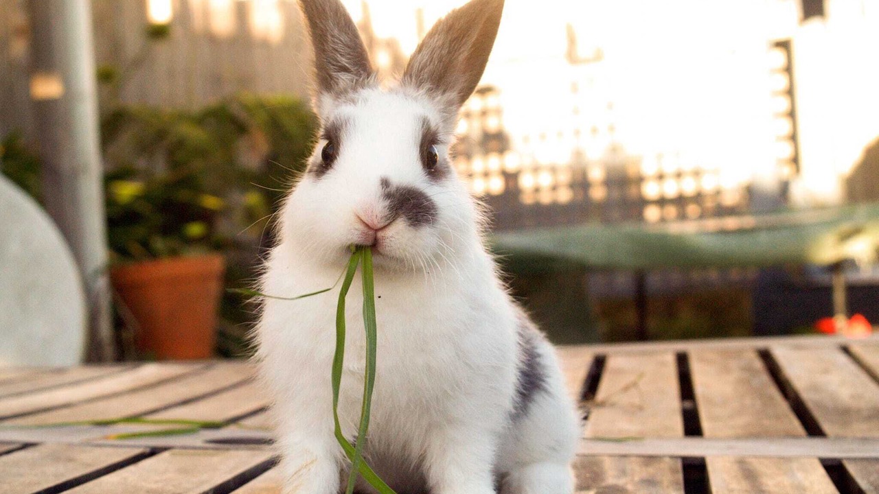 Photo of Outdoor in Monroe