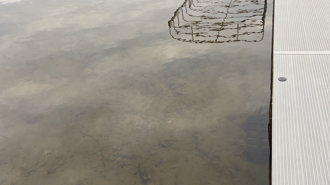 Photo of Others in New Auburn