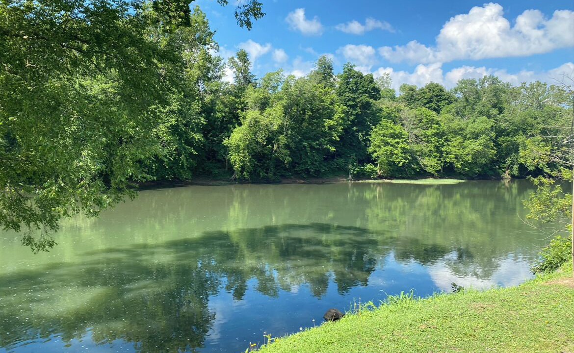 Photo of Others in Talcott
