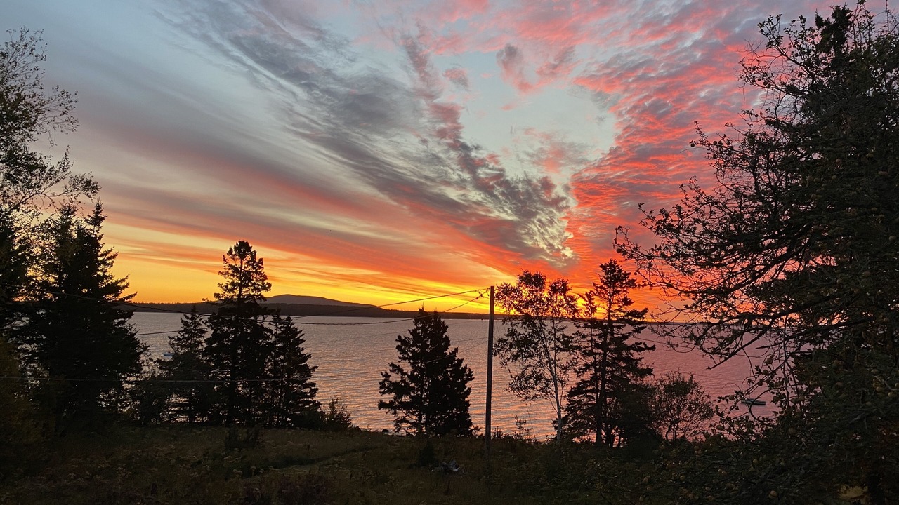 Photo of Others in Brooklin