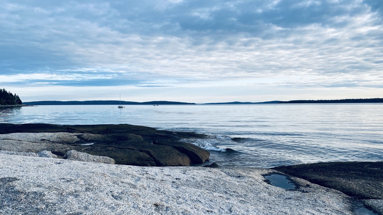 Photo of Others in Brooklin