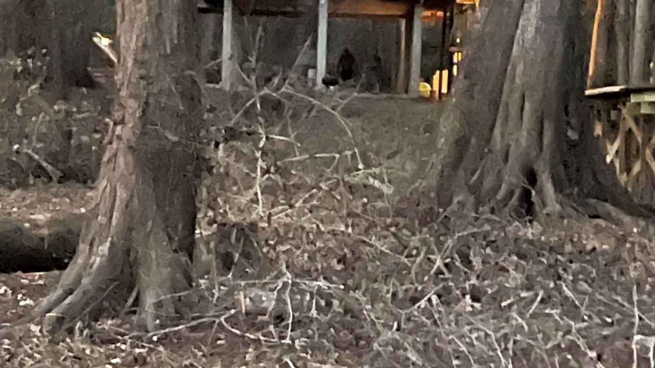 Photo of Outdoor in Branford