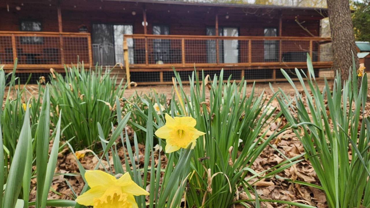 Photo of Outdoor in Greenfield