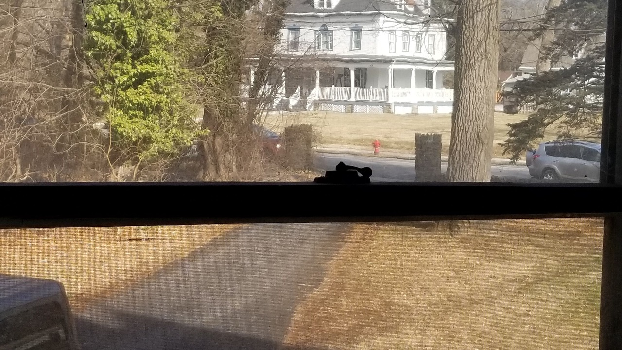 Photo of Others in Langhorne