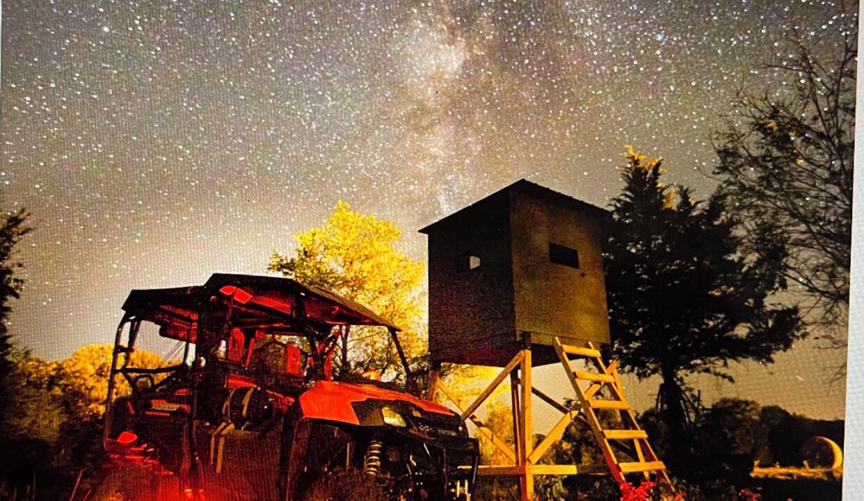 Photo of Outdoor in Rover