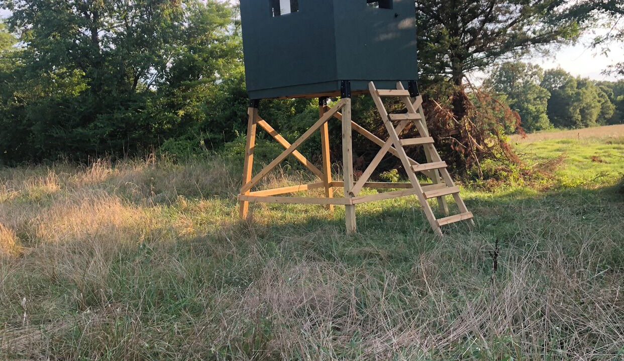 Photo of Outdoor in Rover