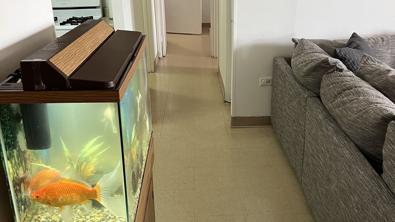 Photo of Others in Queens