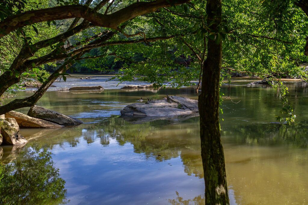 Photo of Others in Ellijay
