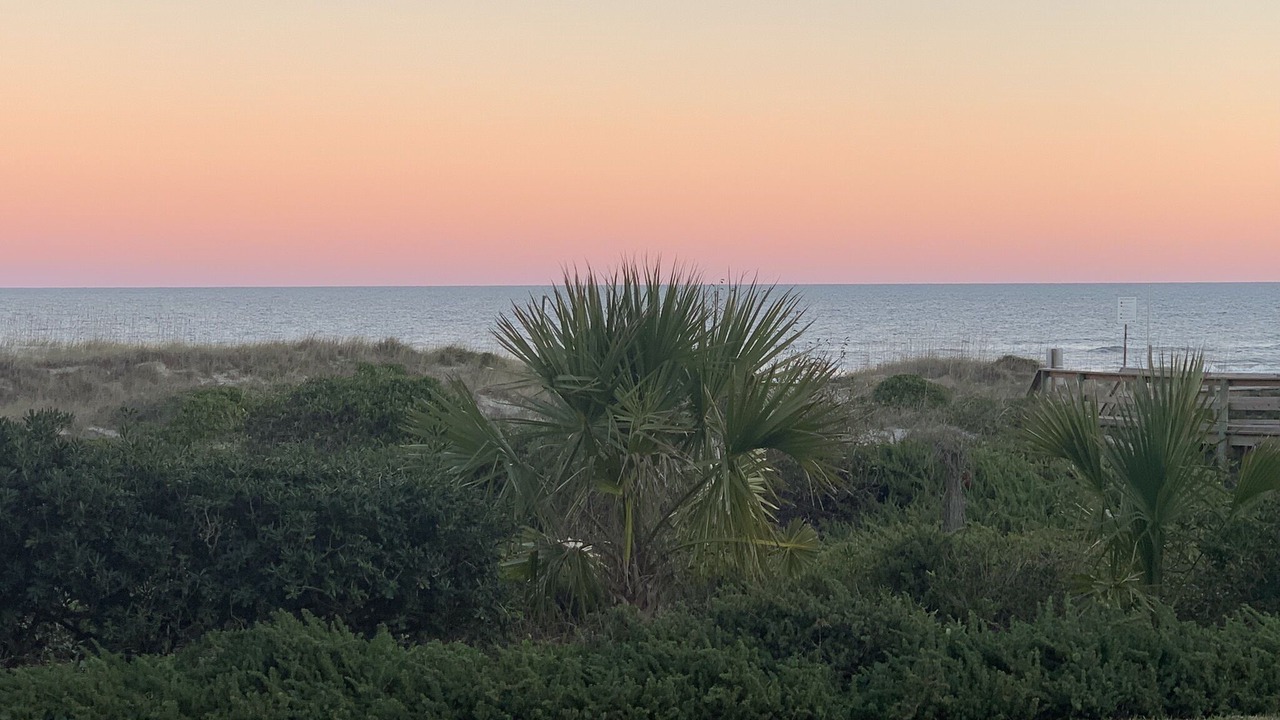 Photo of Others in Amelia City